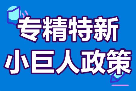国家专精特新小巨人企业奖励标准 专精特新小巨人政策汇总
