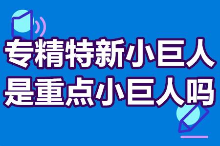 专精特新小巨人就是重点小巨人吗？专精特新小巨人给补贴嘛？