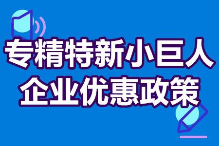 专精特新小巨人企业优惠政策 服务专精特新小巨人经费