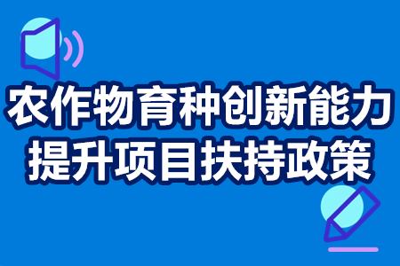 农作物育种创新能力提升项目扶持政策 如何申请补贴 奖励多少钱