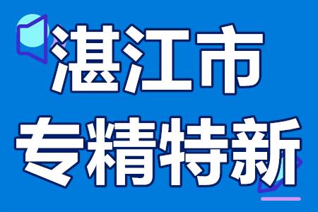 湛江市专精特新申报条件、认定流程、