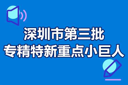 深圳市第三批专精特新重点小巨人申报条件、申报流程