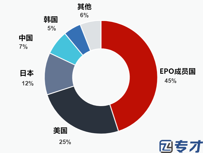 欧洲专利申请 容易想到的问题