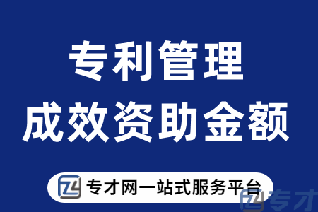 专利管理和成效资助金额.png