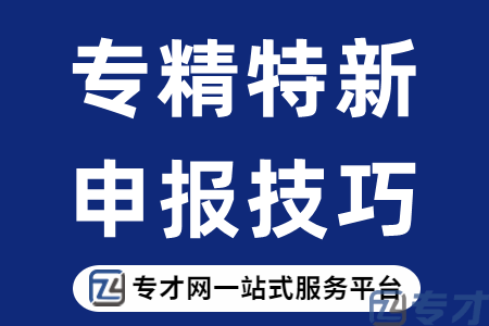 专精特新申报技巧.png