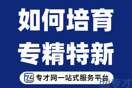 如何培育专精特新.png