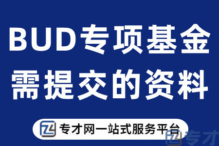 BUD专项基金需提交的资料.png