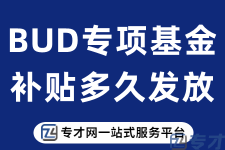 BUD专项基金认定补贴是真的吗 BUD专项基金认定补贴政策解读(图1) BUD专项基金补贴多久发放.png