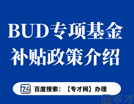 香港BUD专项基金能补助多少钱下来 BUD专项基金能拿哪些政府补助(图1) BUD专项基金.png