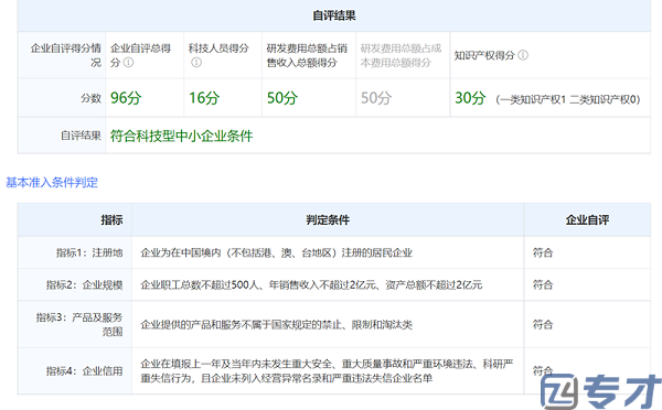 科技型中小企业评价-企业自评