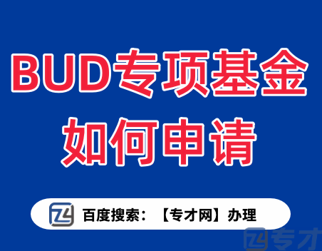 BUD专项基金便捷申请方案 提高获取资助的成功率(图1) BUD专项基金如何申请.png