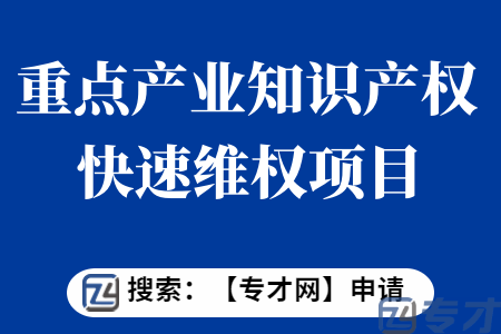 重点产业知识产权快速维权项目条件  重点产业知识产权快速维权