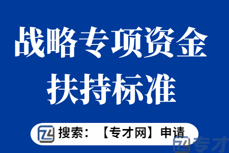 质量发展与标准化战略专项资金扶持标准  质量发展与标准化战略