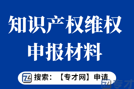 海外知识产权维权援助专家征集项目扶持标准  知识产权维权申报