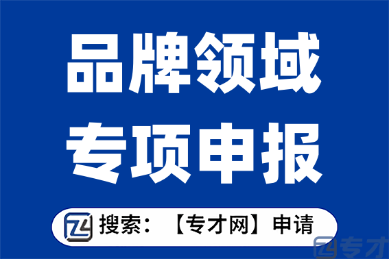 质量品牌领域专项核准类扶持标准 品牌领域专项申报条件(图1) 1.png