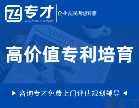 高价值专利培育.png