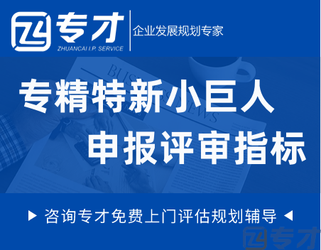 如何备战2024年省专精特新中小企业 专精特新对中小企业的意义(图1) 专精特新小巨人申报评审指标.png