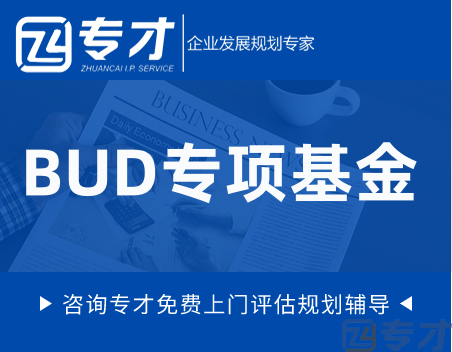 香港BUD补贴小企业创业者的快捷通道 BUD申请及拨款流程(图1) BUD专项基金.png