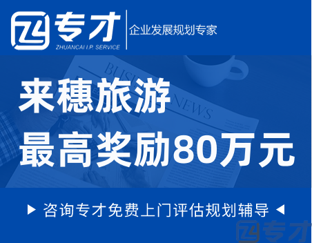 来穗旅游最高奖励80万元.png