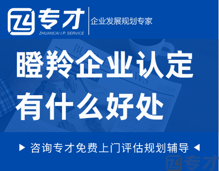 瞪羚企业认定有什么好处.png