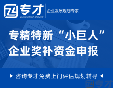 专精特新“小巨人”企业奖补资金申报.png