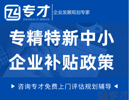 2024年专精特新“小巨人”申报指南 企业申报“小巨人”的常见问题(图1) 专精特新中小企业补贴政策.png