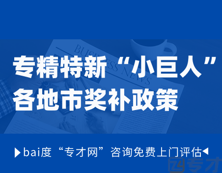 2024年专精特新“小巨人”各地市奖补政策 专精特新“小巨人”适用场景(图1) 专精特新“小巨人”各地市奖补政策.png