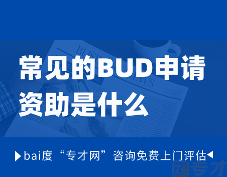 常见的BUD申请资助是什么.png