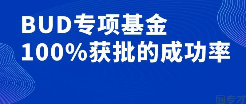 企业自行申请BUD专项基金的成功概率为什么低 如何选择靠谱的顾问公司?(图1) 专才100%获批的成功率.jpg