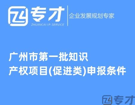 广州市第一批知识产权项目(促进类)申报条件 知识产权项目资助汇总(图1) 广州市第一批知识产权项目(促进类)申报条件.jpg