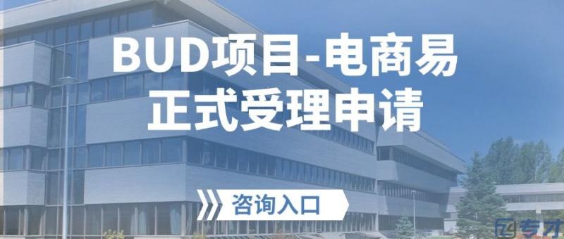 BUD项目-电商易正式受理申请.jpeg